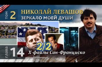 Николай Левашов. Зеркало моей души. Том 2. Глава 14